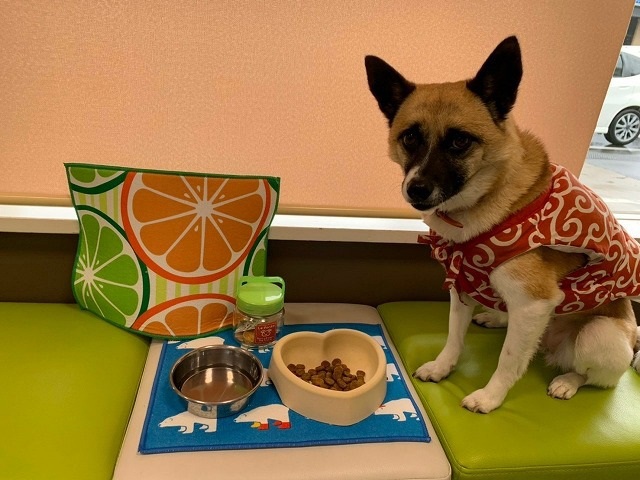 20190314195827-f7701ee63a5ca33739a7427402f3af9c8b0ab99c.jpg