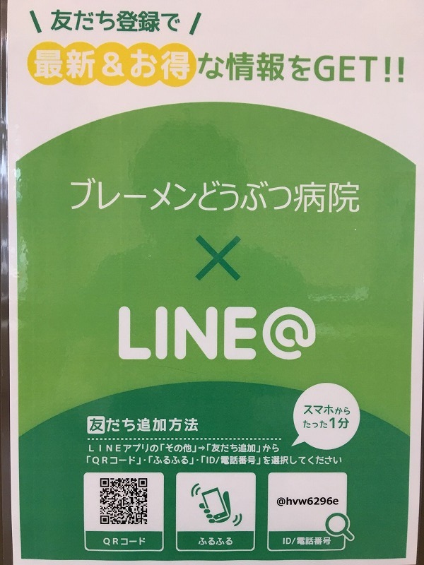 line.jpg