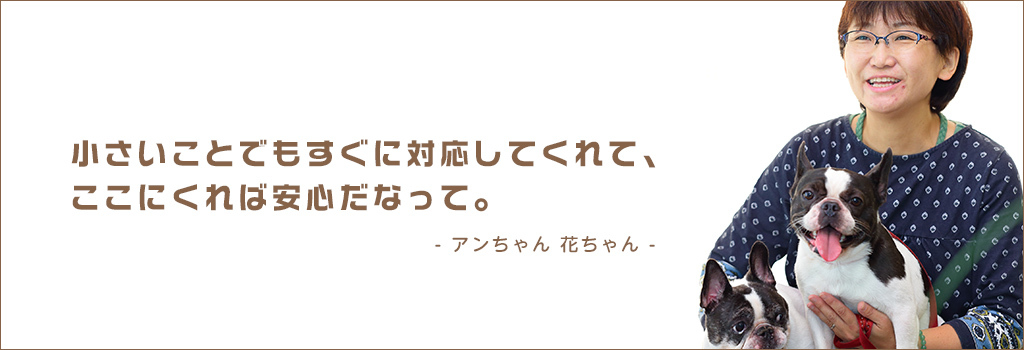 小さいことでもすぐに対応してくれて、ここにくれば安心だなって。